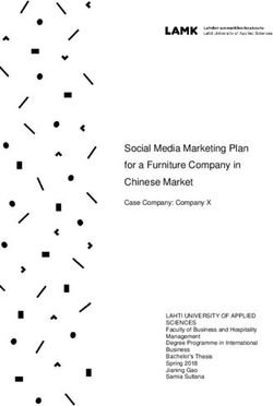 Social Media Marketing Plan for a Furniture Company in Chinese Market - Theseus