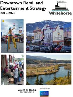 Downtown Retail and Entertainment Strategy 2016-2025 - City of ...