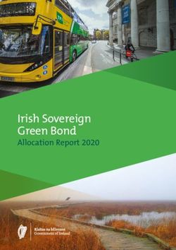 Irish Sovereign Green Bond - Allocation Report 2020 - National Treasury Management ...