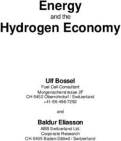 Energy Hydrogen Economy - Ulf Bossel Fuel Cell Consultant - Alternative Fuels Data Center