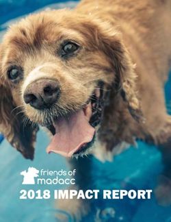 2018 IMPACT REPORT - Friends of MADACC