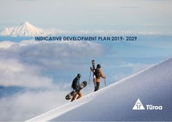 INDICATIVE DEVELOPMENT PLAN 2019- 2029