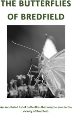 THE BUTTERFLIES OF BREDFIELD - An annotated list of butterflies that may be seen in the vicinity of Bredfield.