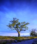 Flinders Ranges Economic Growth & Investment Strategy