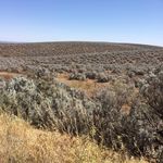 Flinders Ranges Economic Growth & Investment Strategy