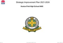 Strategic Improvement Plan 2021-2024 - Hoxton Park High School 8485 - Amazon AWS