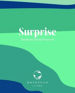 Surprise Daydream Island Proposals