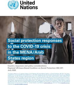 Social protection responses to the COVID-19 crisis in the MENA/Arab States region