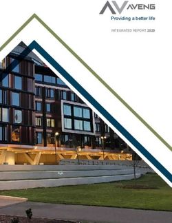 Providing a better life - INTEGRATED REPORT 2020 - Aveng