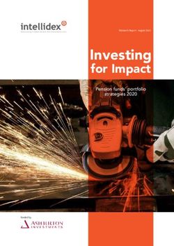 Investing for Impact Pension funds' portfolio strategies 2020 - Ashburton Investments
