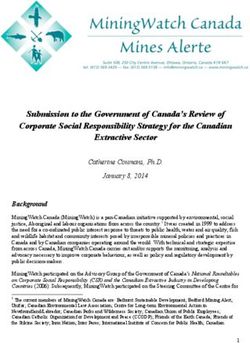 Submission to the Government of Canada's Review of Corporate Social Responsibility Strategy for the Canadian Extractive Sector