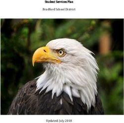 Student Services Plan Bradford School District - Updated: July 2018