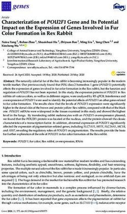 Characterization of POU2F1 Gene and Its Potential Impact on the Expression of Genes Involved in Fur Color Formation in Rex Rabbit - MDPI