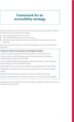Framework for an accessibility strategy