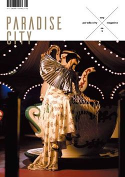 Paradise city - paradise group