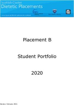 Placement B Student Portfolio 2020 - RGU