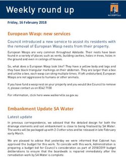 European Wasp: new services - Town of Walkerville