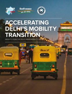 ACCELERATING DELHI'S MOBILITY TRANSITION - INSIGHTS FROM THE DELHI URBAN MOBILITY LAB - Rocky Mountain Institute
