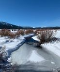 Reading: Using Senses in the Winter - Tahoe Institute for ...