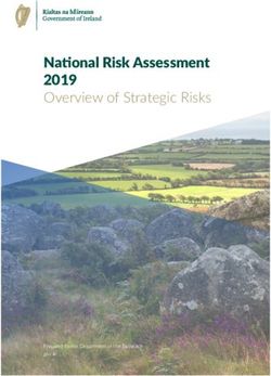 National Risk Assessment 2019 Overview of Strategic Risks - Prepared by the Department of the Taoiseach gov.ie