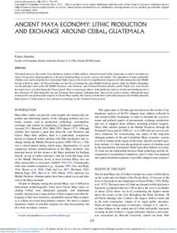 ANCIENT MAYA ECONOMY: LITHIC PRODUCTION AND EXCHANGE AROUND CEIBAL, GUATEMALA