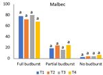 Pruning cuts affect wood necrosis but not the percentage of budburst or shoot development on spur pruned vines for different grapevine varieties