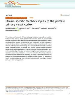 Stream-specific feedback inputs to the primate primary visual cortex