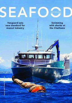 Vanguard sets new standard for mussel industry - Swimming with sharks at the Chathams - Seafood New Zealand
