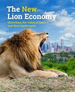 The New Lion Economy Unlocking the value of lions and their landscapes - TakeShape