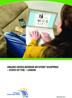 ONLINE CROSS-BORDER MYSTERY SHOPPING - STATE OF THE e-UNION