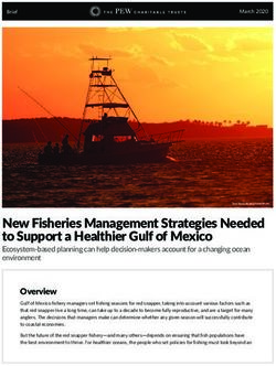 New Fisheries Management Strategies Needed to Support a Healthier Gulf of Mexico