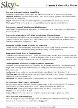 Grasses & Grasslike Plants - Sky Nursery