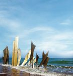 CLEARING THE WAY - Navy SEAL Museum