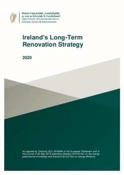 Ireland's Long-Term Renovation Strategy 2020 - European ...