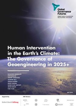 Human Intervention in the Earth's Climate: The Governance of Geoengineering in 2025+ - Robert Bosch ...