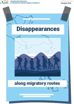 Disappearances - along migratory routes - Boletines REDLAC