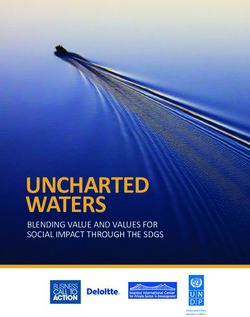 UNCHARTED WATERS BLENDING VALUE AND VALUES FOR SOCIAL IMPACT THROUGH THE SDGS - Business Call to Action