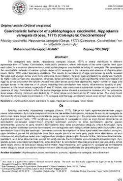 Cannibalistic behavior of aphidophagous coccinellid, Hippodamia