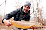 Great Lakes Brown Trout - FFI Magazine