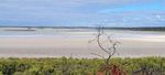 Project Coorong - Department for Environment and Water