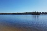 "Spring has sprung, and the birds are singing." "The Ice is Out!