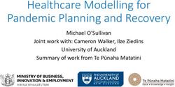 Healthcare Modelling for Pandemic Planning and Recovery - Michael O'Sullivan Joint work with: Cameron Walker, Ilze Ziedins University of Auckland ...