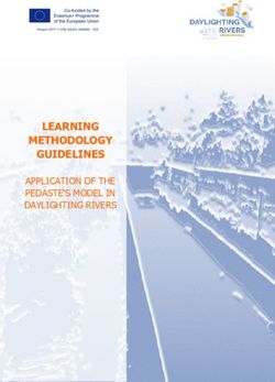 LEARNING METHODOLOGY GUIDELINES - APPLICATION OF THE PEDASTE'S MODEL IN DAYLIGHTING RIVERS - Daylightingrivers