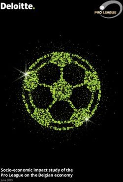 Socio-economic impact study of the Pro League on the Belgian economy - Deloitte