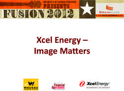 XCEL ENERGY - IMAGE MA0ERS