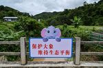 China villagers learn to live with the elephant in the room