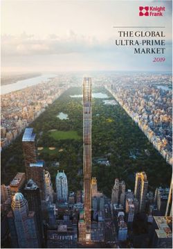 THE GLOBAL ULTRA-PRIME MARKET 2019 - Knight Frank