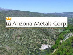 Arizona Metals Corp. Corporate Presentation