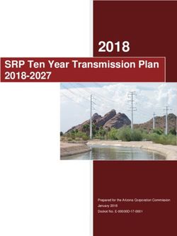 2018 SRP Ten Year Transmission Plan 2018-2027