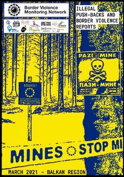 Cover Page - Border Violence ...